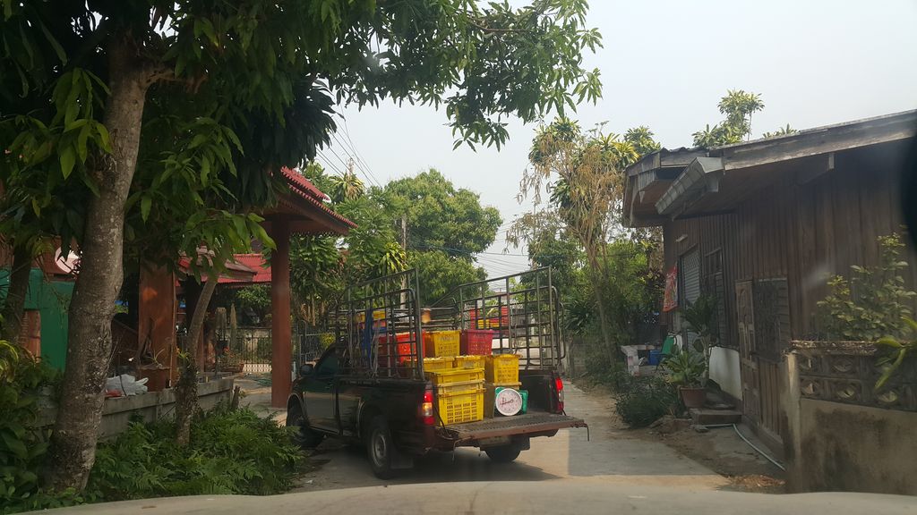 ภาพถนนตรงที่ บ้านป่านอต ตำบลแม่ทา ตั้งอยู่ ถ่ายโดย jrcarlsen พ.ศ. 2562 (2019) · A street-level view of where บ้านป่านอต ตำบลแม่ทา · Ban Pa Not Tambon Mae Tha stands, by jrcarlsen in 2562 (2019)