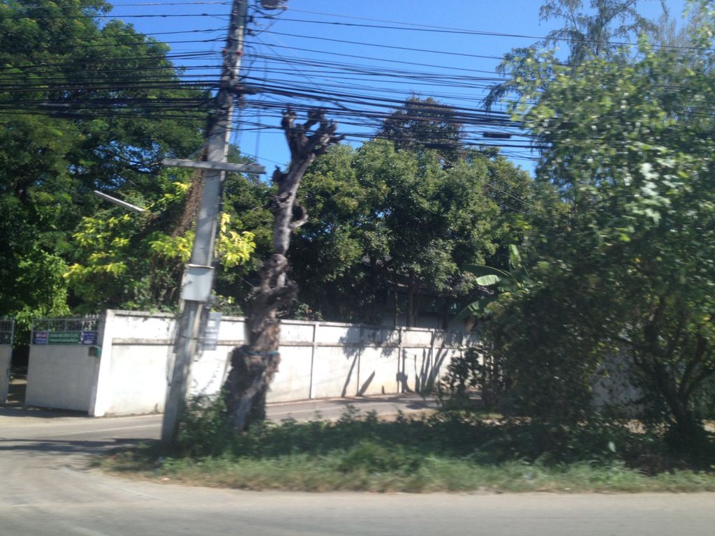 ภาพถนนตรงที่ เชียงใหม่กรีนดีไซน์ ตั้งอยู่ ถ่ายโดย jimwatana พ.ศ. 2558 (2015) · A street-level view of where เชียงใหม่กรีนดีไซน์ · Chiang Mai Green Design stands, by jimwatana in 2558 (2015)