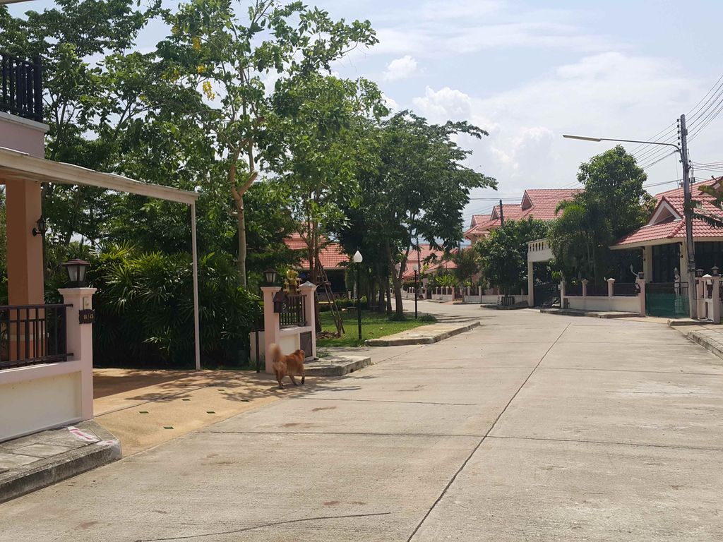 ภาพถนนตรงที่ เทียนฉาย เครื่องปรุงซุปหม่าล่า ตั้งอยู่ ถ่ายโดย jrcarlsen พ.ศ. 2558 (2015) · A street-level view of where เทียนฉาย เครื่องปรุงซุปหม่าล่า · Thianchai Khrueangprung Sup Mala stands, by jrcarlsen in 2558 (2015)
