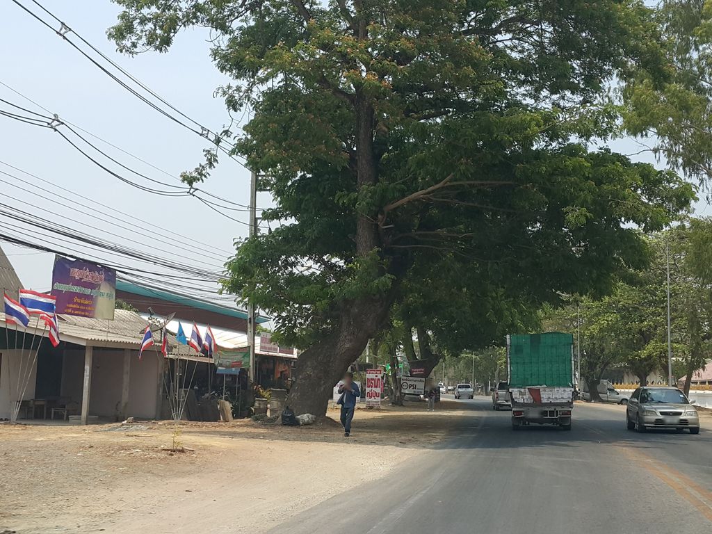 ภาพถนนตรงที่ ก๋วยเตี๋ยวโกเด้ง ตั้งอยู่ ถ่ายโดย jrcarlsen พ.ศ. 2559 (2016) · A street-level view of where ก๋วยเตี๋ยวโกเด้ง · Kuaitiao Kodeng stands, by jrcarlsen in 2559 (2016)