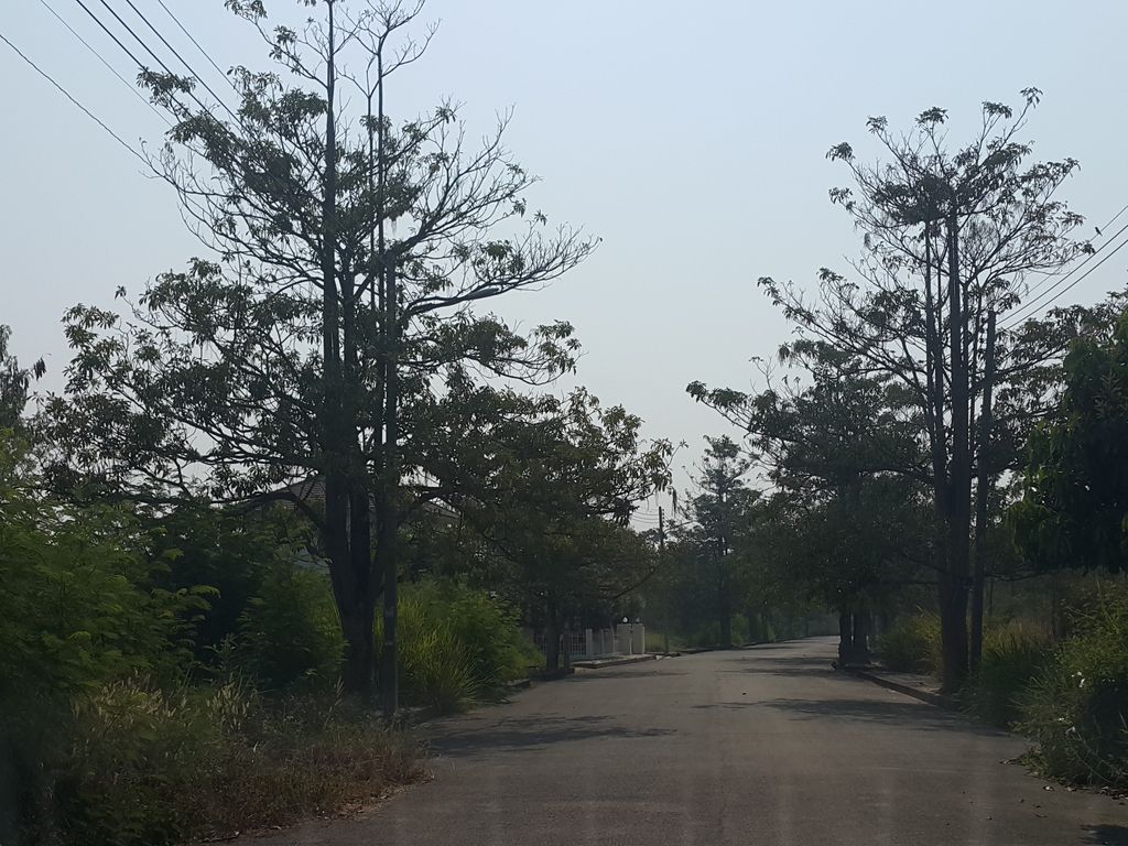 ภาพถนนตรงที่ Mj ชานมไข่มุก สาขาขวัญเวียง ตั้งอยู่ ถ่ายโดย jrcarlsen พ.ศ. 2559 (2016) · A street-level view of where Mj ชานมไข่มุก สาขาขวัญเวียง · Mj Chanmakhaimuk Sakha Khwanwiang stands, by jrcarlsen in 2559 (2016)