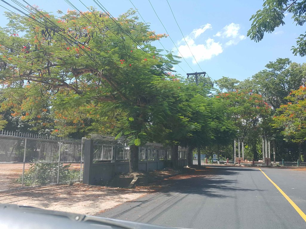 ภาพถนนตรงที่ The Forest Friends Chiang Mai ตั้งอยู่ ถ่ายโดย jrcarlsen พ.ศ. 2558 (2015) · A street-level view of where The Forest Friends Chiang Mai stands, by jrcarlsen in 2558 (2015)