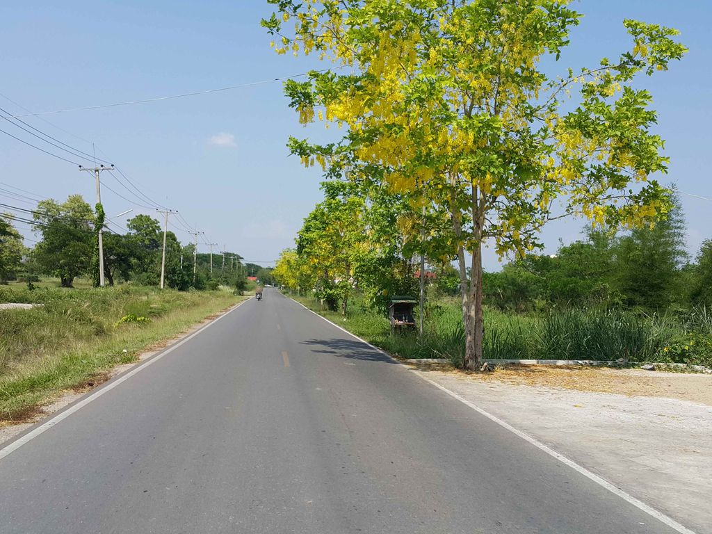 ภาพถนนตรงที่ ช้างเผือกกิจการช่างวัสดุ ตั้งอยู่ ถ่ายโดย jrcarlsen พ.ศ. 2558 (2015) · A street-level view of where ช้างเผือกกิจการช่างวัสดุ · Chang Phueak Kit Kanchang Watdu stands, by jrcarlsen in 2558 (2015)