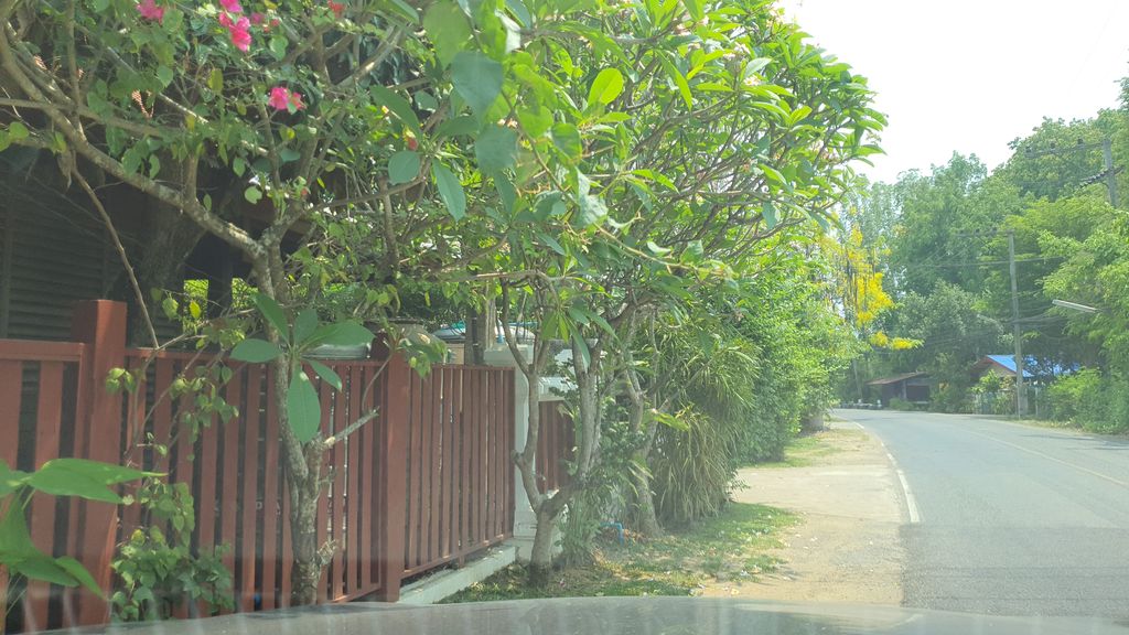 ภาพถนนตรงที่ Luxury Hannah Chiang Mai ตั้งอยู่ ถ่ายโดย jrcarlsen พ.ศ. 2564 (2021) · A street-level view of where Luxury Hannah Chiang Mai stands, by jrcarlsen in 2564 (2021)