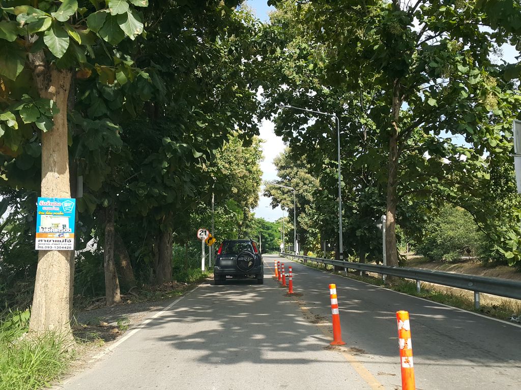 ภาพถนนตรงที่ ลองดิชา หลัง ม.แม่โจ้ ตั้งอยู่ ถ่ายโดย jrcarlsen พ.ศ. 2558 (2015) · A street-level view of where ลองดิชา หลัง ม.แม่โจ้ · Longdicha Lang M.Mae Jo stands, by jrcarlsen in 2558 (2015)