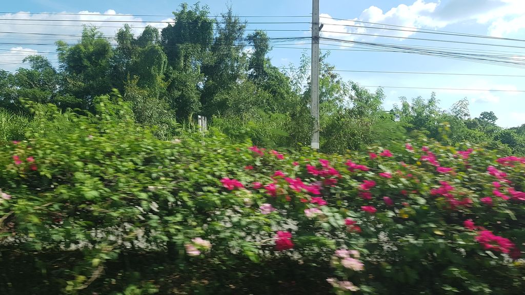 ภาพถนนตรงที่ เธอน่าจะชอบ - Tnjc Cnx ตั้งอยู่ ถ่ายโดย rororo พ.ศ. 2562 (2019) · A street-level view of where เธอน่าจะชอบ - Tnjc Cnx stands, by rororo in 2562 (2019)