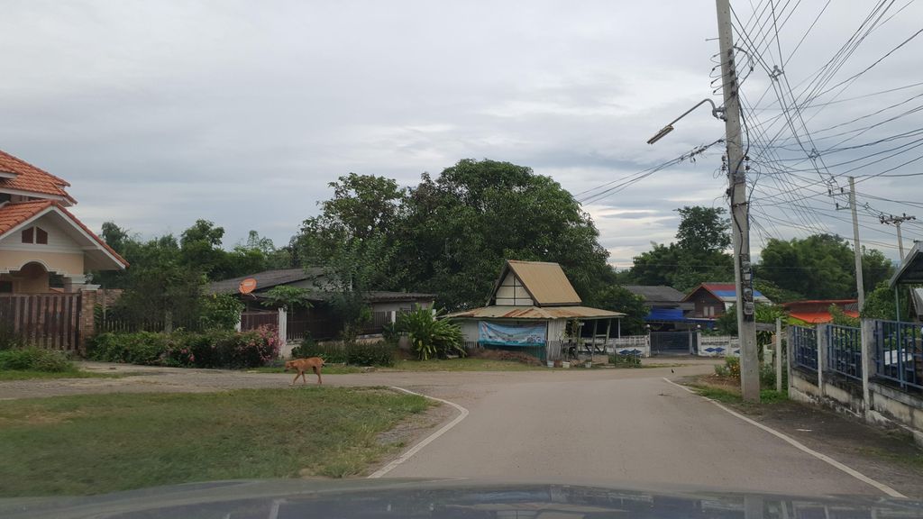 ภาพถนนตรงที่ วัดหิรัญนิคม อ.แม่ริม จ.เชียงใหม่ ตั้งอยู่ ถ่ายโดย jrcarlsen พ.ศ. 2564 (2021) · A street-level view of where วัดหิรัญนิคม อ.แม่ริม จ.เชียงใหม่ · Wat Hirannikma A.Mae Rim Cha.Chiang Mai stands, by jrcarlsen in 2564 (2021)