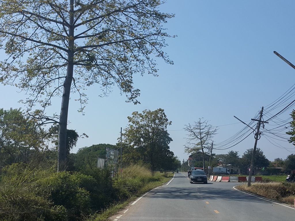ภาพถนนตรงที่ Jennalee Resort Chiang Mai ตั้งอยู่ ถ่ายโดย jrcarlsen พ.ศ. 2559 (2016) · A street-level view of where Jennalee Resort Chiang Mai stands, by jrcarlsen in 2559 (2016)