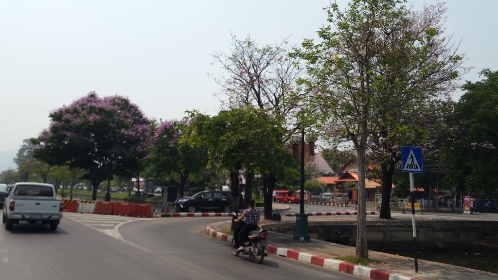 ภาพถนนตรงที่ โรงเรียนพัฒนาปัญญาไท ตั้งอยู่ ถ่ายโดย jrcarlsen พ.ศ. 2560 (2017) · A street-level view of where โรงเรียนพัฒนาปัญญาไท · Phatthana Panya Thai School stands, by jrcarlsen in 2560 (2017)