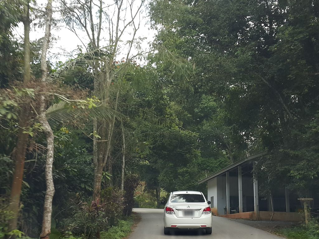 ภาพถนนตรงที่ บ้านตีนตกธารทอง ตั้งอยู่ ถ่ายโดย jrcarlsen พ.ศ. 2558 (2015) · A street-level view of where บ้านตีนตกธารทอง · Ban Tin Tok Thanthong stands, by jrcarlsen in 2558 (2015)