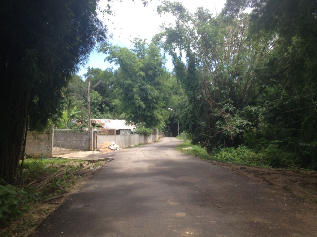 ภาพถนนตรงที่ eeVVees Garden ตั้งอยู่ ถ่ายโดย jimwatana พ.ศ. 2558 (2015) · A street-level view of where eeVVees Garden stands, by jimwatana in 2558 (2015)