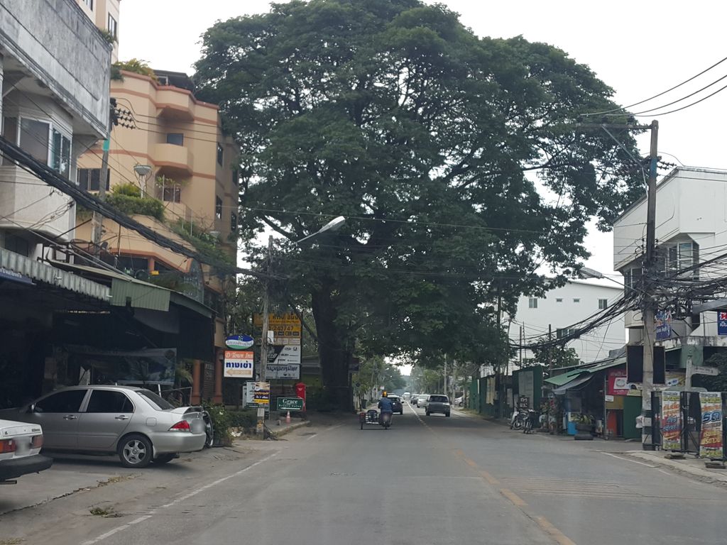 ภาพถนนตรงที่ โครงการ  Ablock Park เชียงใหม่ ตั้งอยู่ ถ่ายโดย jrcarlsen พ.ศ. 2558 (2015) · A street-level view of where โครงการ  Ablock Park เชียงใหม่ stands, by jrcarlsen in 2558 (2015)