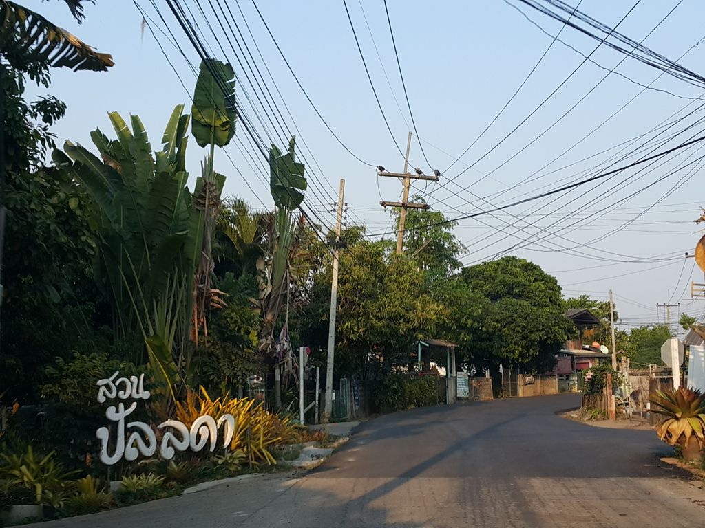 ภาพถนนตรงที่ Asian Exotic Plants ตั้งอยู่ ถ่ายโดย jrcarlsen พ.ศ. 2559 (2016) · A street-level view of where Asian Exotic Plants stands, by jrcarlsen in 2559 (2016)