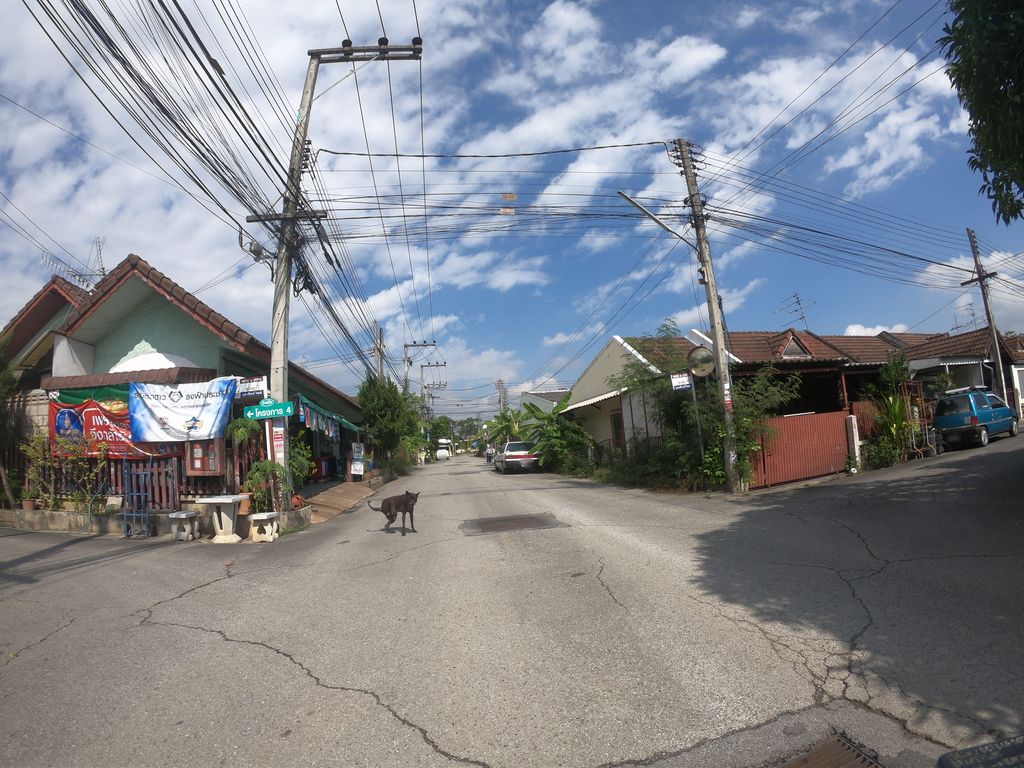 ภาพถนนตรงที่ อู่ช่างเบียร์คันคลอง43 ตั้งอยู่ ถ่ายโดย chanuwath_grab พ.ศ. 2562 (2019) · A street-level view of where อู่ช่างเบียร์คันคลอง43 · Uchang Beer Khankhalong43 stands, by chanuwath_grab in 2562 (2019)