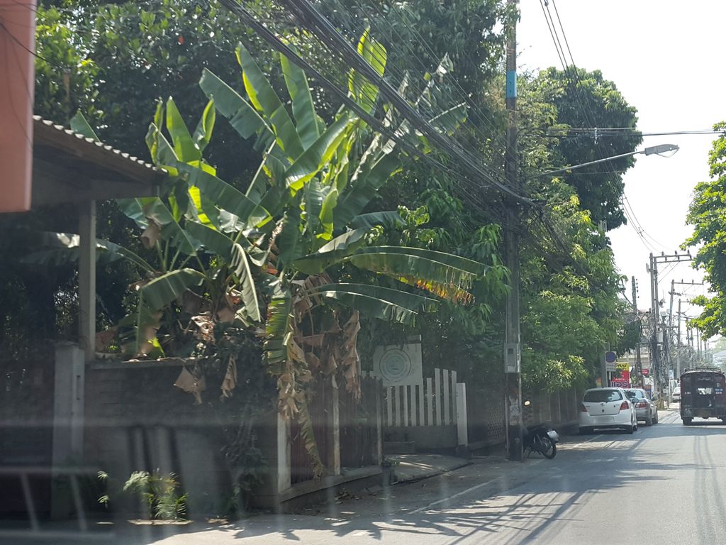 ภาพถนนตรงที่ บริษัท เทพนิธิ จำกัด ตั้งอยู่ ถ่ายโดย jrcarlsen พ.ศ. 2559 (2016) · A street-level view of where บริษัท เทพนิธิ จำกัด · Thepnithi Chamkat Company stands, by jrcarlsen in 2559 (2016)