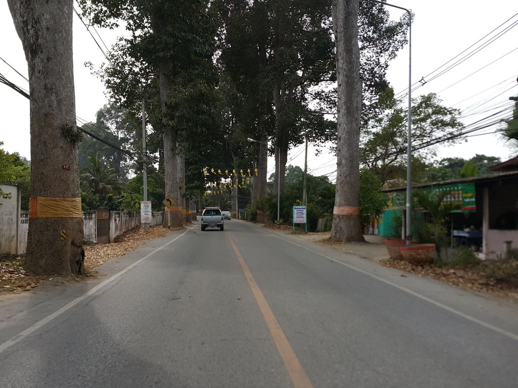 ภาพถนนตรงที่ ตระกร้อเบเกอรี่ ตั้งอยู่ ถ่ายโดย jrcarlsen พ.ศ. 2557 (2014) · A street-level view of where ตระกร้อเบเกอรี่ · Trakaro Bakery stands, by jrcarlsen in 2557 (2014)
