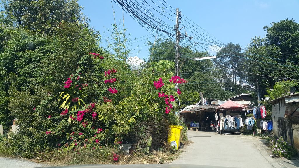 ภาพถนนตรงที่ สำนักบำบัดจิต อ.ใหม่ พญาไฟ ตั้งอยู่ ถ่ายโดย jrcarlsen พ.ศ. 2559 (2016) · A street-level view of where สำนักบำบัดจิต อ.ใหม่ พญาไฟ · Samnak Bambat Chit A.mai Phayafai stands, by jrcarlsen in 2559 (2016)