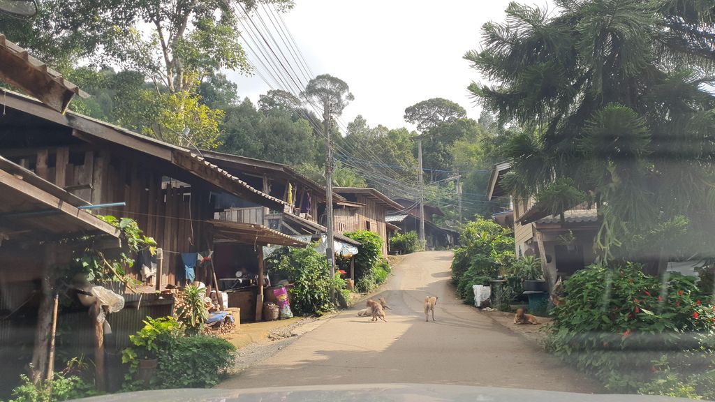ภาพถนนตรงที่ บ้านน้ำโค้ง ต.เทพเสด็จ จ.เชียงใหม่ ตั้งอยู่ ถ่ายโดย jrcarlsen พ.ศ. 2564 (2021) · A street-level view of where บ้านน้ำโค้ง ต.เทพเสด็จ จ.เชียงใหม่ · Ban Nam Khong Ta.Thep Sedot Cha.Chiang Mai stands, by jrcarlsen in 2564 (2021)