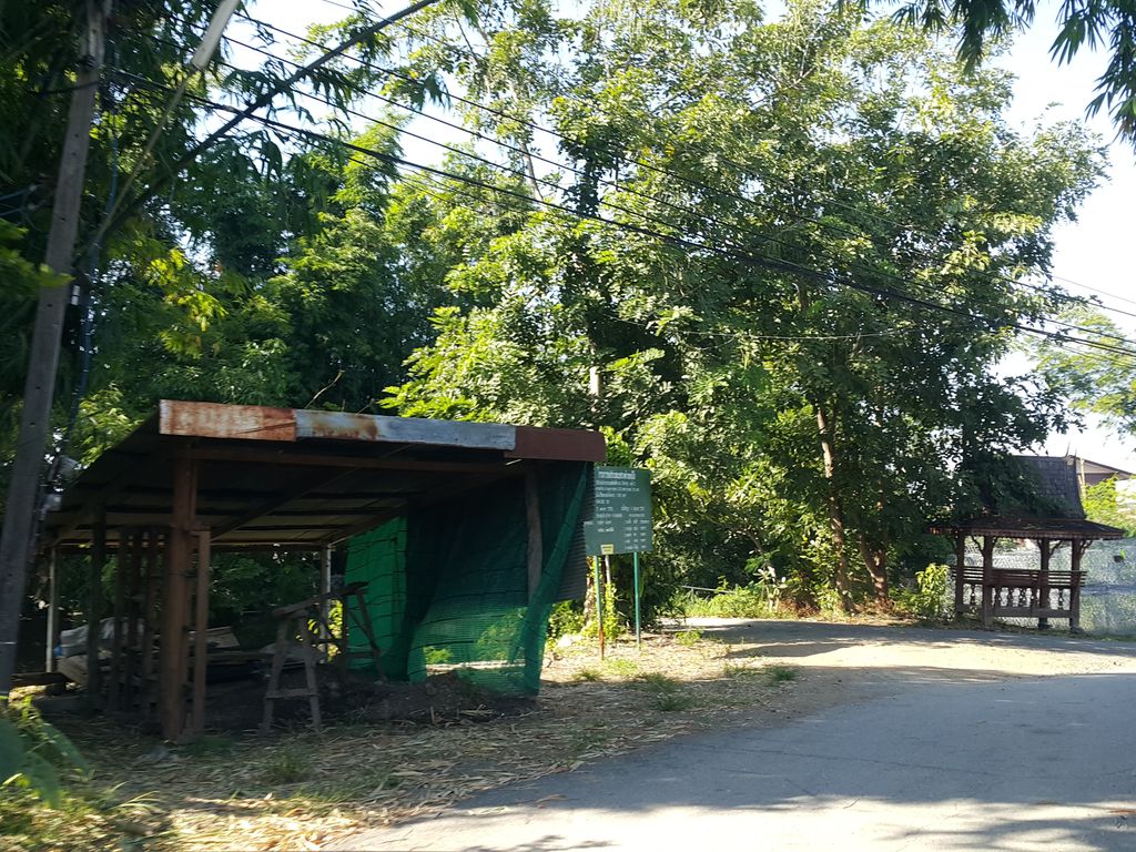 ภาพถนนตรงที่ แม่โป่งการช่าง ตั้งอยู่ ถ่ายโดย jrcarlsen พ.ศ. 2558 (2015) · A street-level view of where แม่โป่งการช่าง · Mae Pong Kanchang stands, by jrcarlsen in 2558 (2015)