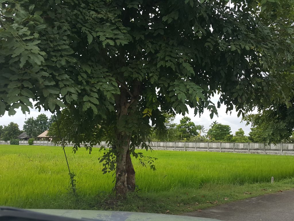 ภาพถนนตรงที่ มีนาแลนด์ ตั้งอยู่ ถ่ายโดย jrcarlsen พ.ศ. 2558 (2015) · A street-level view of where มีนาแลนด์ · Minalaen stands, by jrcarlsen in 2558 (2015)