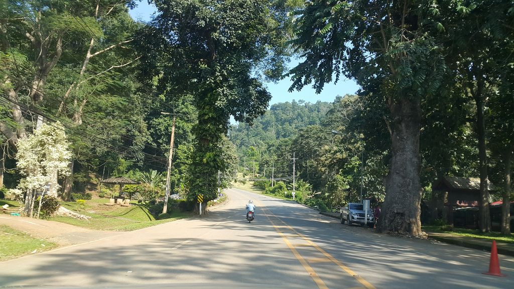 ภาพถนนตรงที่ Monkey Coffee Samoeng ตั้งอยู่ ถ่ายโดย jrcarlsen พ.ศ. 2560 (2017) · A street-level view of where Monkey Coffee Samoeng stands, by jrcarlsen in 2560 (2017)