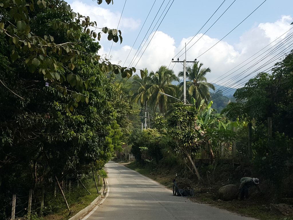 ภาพถนนตรงที่ The Lai Tiny House ตั้งอยู่ ถ่ายโดย jrcarlsen พ.ศ. 2558 (2015) · A street-level view of where The Lai Tiny House stands, by jrcarlsen in 2558 (2015)