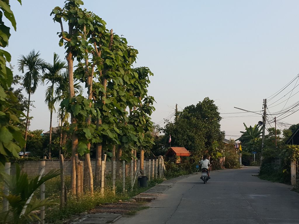 ภาพถนนตรงที่ หน่อยลาบขม แม่ริม ตั้งอยู่ ถ่ายโดย jrcarlsen พ.ศ. 2559 (2016) · A street-level view of where หน่อยลาบขม แม่ริม · Noilapkhom Mae Rim stands, by jrcarlsen in 2559 (2016)