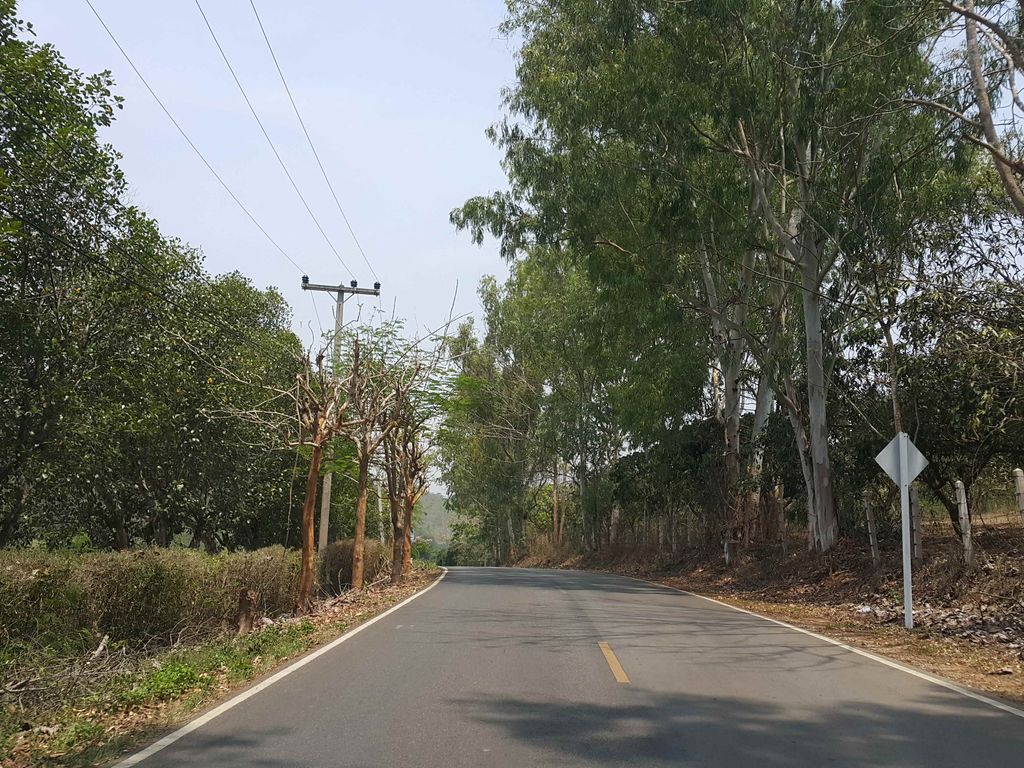 ภาพถนนตรงที่ La Tierra l ลาเทียร์ร่า ตั้งอยู่ ถ่ายโดย jrcarlsen พ.ศ. 2558 (2015) · A street-level view of where La Tierra l ลาเทียร์ร่า stands, by jrcarlsen in 2558 (2015)