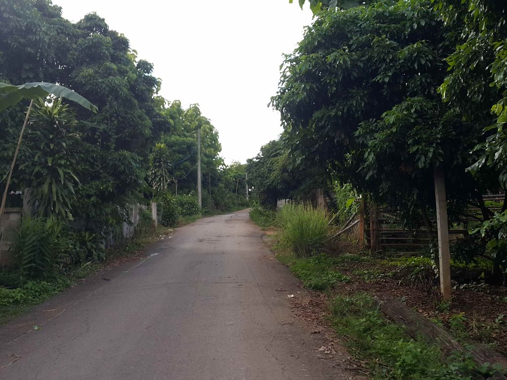 ภาพถนนตรงที่ ภูแจ่มเฮ้าส์ ตั้งอยู่ ถ่ายโดย jrcarlsen พ.ศ. 2558 (2015) · A street-level view of where ภูแจ่มเฮ้าส์ · Phuchaemhao stands, by jrcarlsen in 2558 (2015)