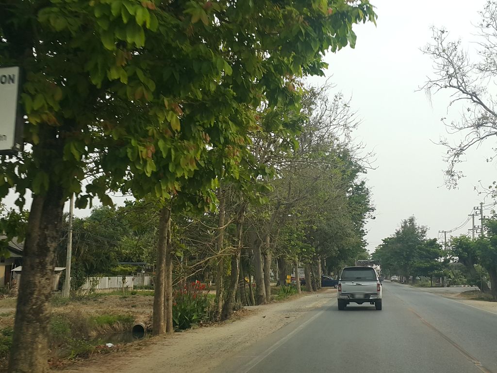 ภาพถนนตรงที่ สมาคมกู้ภัยรวมใจต้านภัยพิบัติ เชียงใหม่ R.A.D Chiang Mai ตั้งอยู่ ถ่ายโดย jrcarlsen พ.ศ. 2559 (2016) · A street-level view of where สมาคมกู้ภัยรวมใจต้านภัยพิบัติ เชียงใหม่ R.A.D Chiang Mai stands, by jrcarlsen in 2559 (2016)