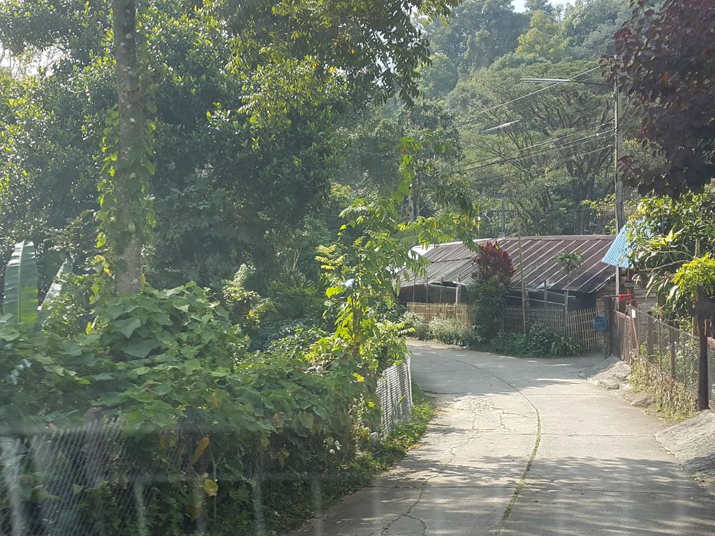 ภาพถนนตรงที่ Poka homestay ตั้งอยู่ ถ่ายโดย jrcarlsen พ.ศ. 2558 (2015) · A street-level view of where Poka homestay stands, by jrcarlsen in 2558 (2015)