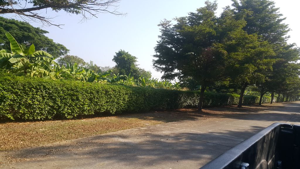 ภาพถนนตรงที่ ฟ้าใสรีสอร์ท ตั้งอยู่ ถ่ายโดย jrcarlsen พ.ศ. 2562 (2019) · A street-level view of where ฟ้าใสรีสอร์ท · Fasaisot stands, by jrcarlsen in 2562 (2019)
