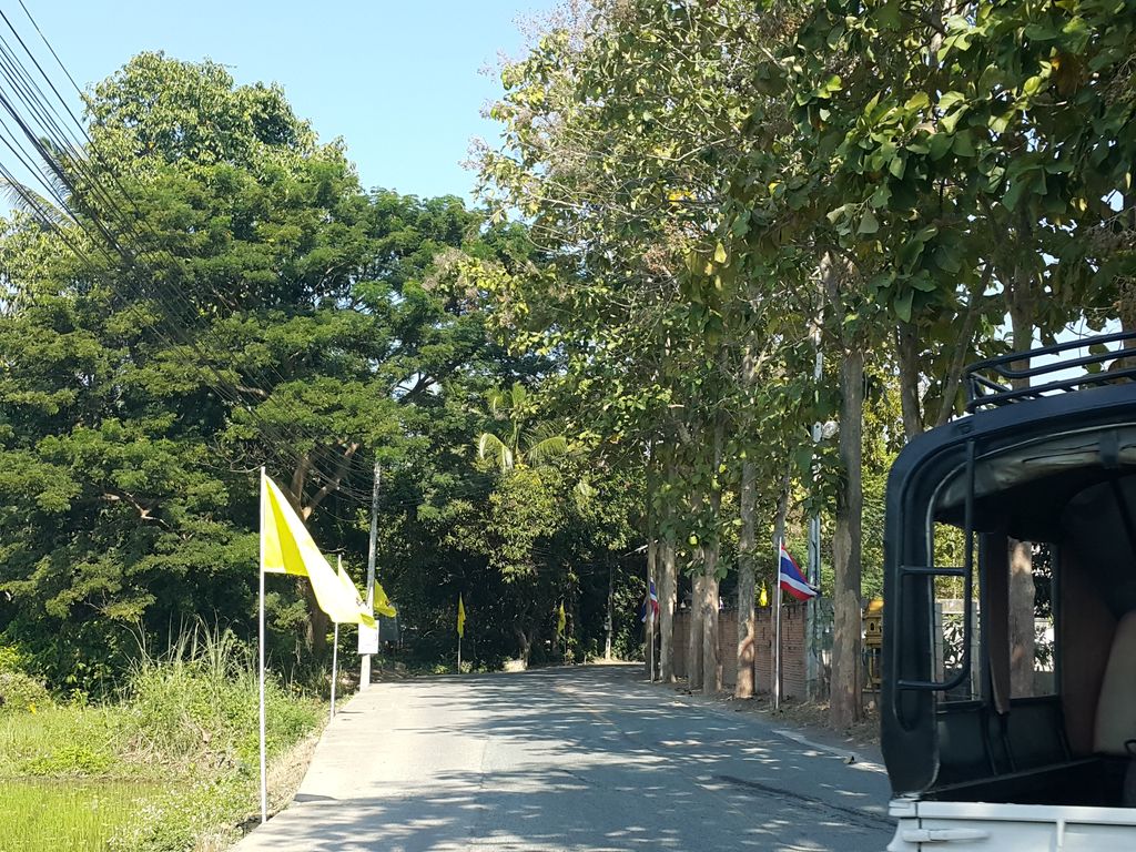 ภาพถนนตรงที่ The GP9 ตั้งอยู่ ถ่ายโดย jrcarlsen พ.ศ. 2558 (2015) · A street-level view of where The GP9 stands, by jrcarlsen in 2558 (2015)