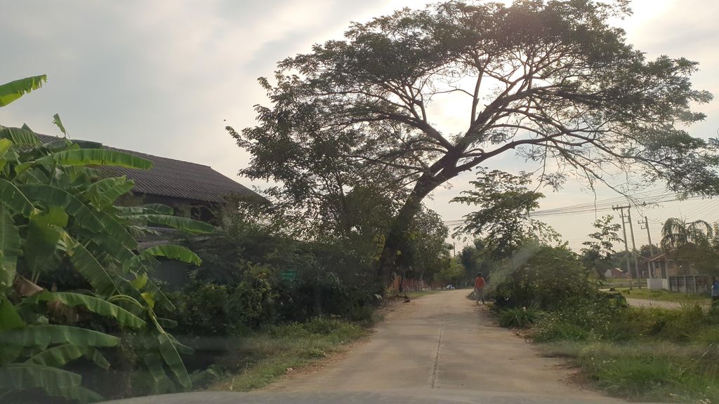 ภาพถนนตรงที่ ร้านซ่อมรถช่างหล้า SKP Moto บ้านน้อย ตั้งอยู่ ถ่ายโดย jrcarlsen พ.ศ. 2565 (2022) · A street-level view of where ร้านซ่อมรถช่างหล้า SKP Moto บ้านน้อย stands, by jrcarlsen in 2565 (2022)