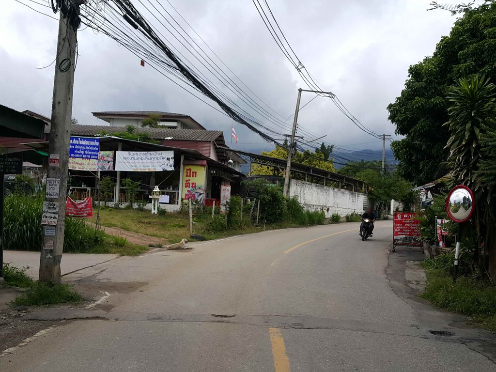 ภาพถนนตรงที่ ร้านตำสะดิ้ง สาขาเชียงใหม่ ตั้งอยู่ ถ่ายโดย jrcarlsen พ.ศ. 2558 (2015) · A street-level view of where ร้านตำสะดิ้ง สาขาเชียงใหม่ · Ran Tam Sading Sakha Chiang Mai stands, by jrcarlsen in 2558 (2015)