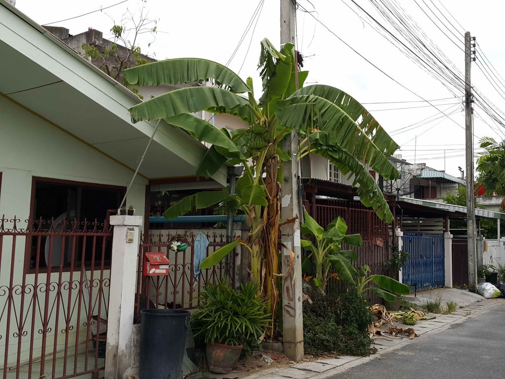 ภาพถนนตรงที่ บริษัท เชียงใหม่สยามทีวี  จำกัด ตั้งอยู่ ถ่ายโดย jrcarlsen พ.ศ. 2558 (2015) · A street-level view of where บริษัท เชียงใหม่สยามทีวี  จำกัด · Chiang Mai Sayamthiwi Chamkat Company stands, by jrcarlsen in 2558 (2015)