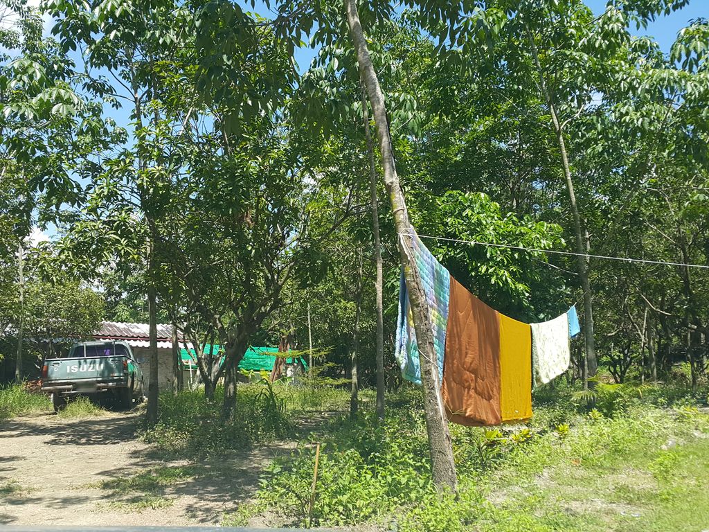 ภาพถนนตรงที่ สำนักปฏิบัติธรรมสวนพุทธพรหมญาณ ตั้งอยู่ ถ่ายโดย jrcarlsen พ.ศ. 2558 (2015) · A street-level view of where สำนักปฏิบัติธรรมสวนพุทธพรหมญาณ · Samnak Patibati Tham Suan Phuttha Pharama Yan stands, by jrcarlsen in 2558 (2015)