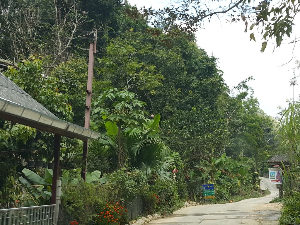 ภาพถนนตรงที่ ตะวาพาณิชย์ Tawaphanit ตั้งอยู่ ถ่ายโดย jrcarlsen พ.ศ. 2558 (2015) · A street-level view of where ตะวาพาณิชย์ Tawaphanit stands, by jrcarlsen in 2558 (2015)