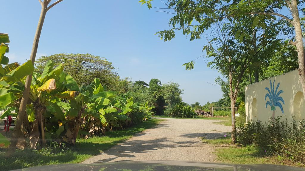 ภาพถนนตรงที่ Chiang Mai Montessori International School ตั้งอยู่ ถ่ายโดย jrcarlsen พ.ศ. 2565 (2022) · A street-level view of where Chiang Mai Montessori International School stands, by jrcarlsen in 2565 (2022)