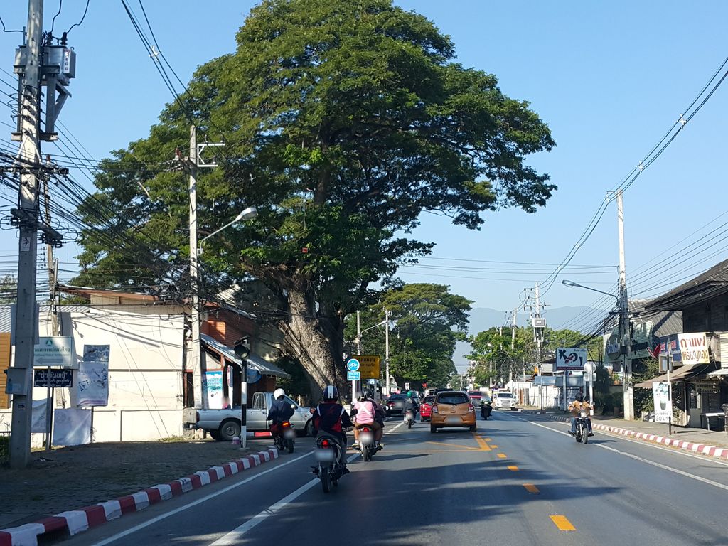 ภาพถนนตรงที่ อุดมมิตร สาขาบวกครก ตั้งอยู่ ถ่ายโดย jrcarlsen พ.ศ. 2559 (2016) · A street-level view of where อุดมมิตร สาขาบวกครก · Utmamit Sakha Buakkhrok stands, by jrcarlsen in 2559 (2016)