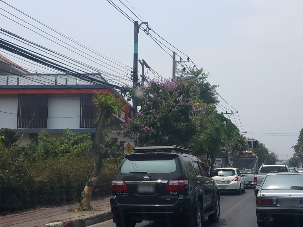 ภาพถนนตรงที่ 42 Auto Coating ศูนย์เคลือบสี เซรามิค 3M เชียงใหม่ ตั้งอยู่ ถ่ายโดย jrcarlsen พ.ศ. 2559 (2016) · A street-level view of where 42 Auto Coating ศูนย์เคลือบสี เซรามิค 3M เชียงใหม่ stands, by jrcarlsen in 2559 (2016)