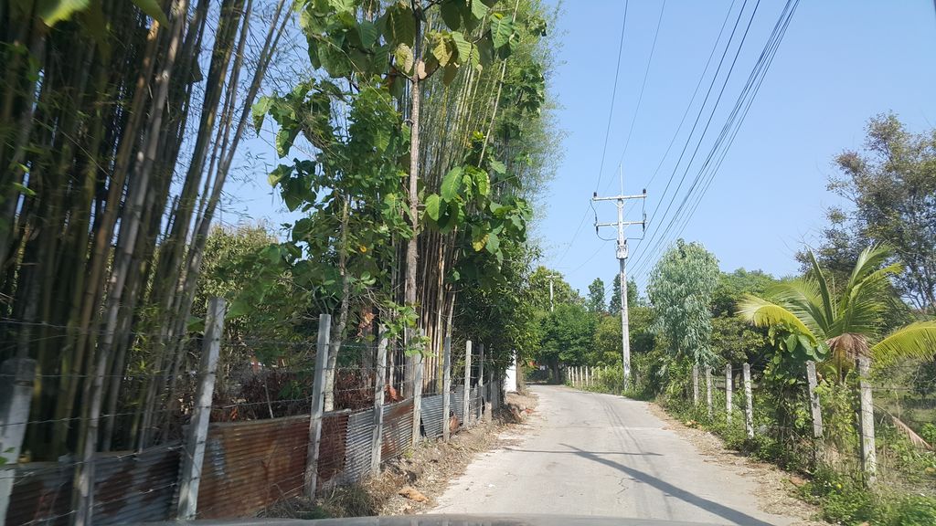 ภาพถนนตรงที่ KANH Home Cafe and Plants ตั้งอยู่ ถ่ายโดย jrcarlsen พ.ศ. 2561 (2018) · A street-level view of where KANH Home Cafe and Plants stands, by jrcarlsen in 2561 (2018)