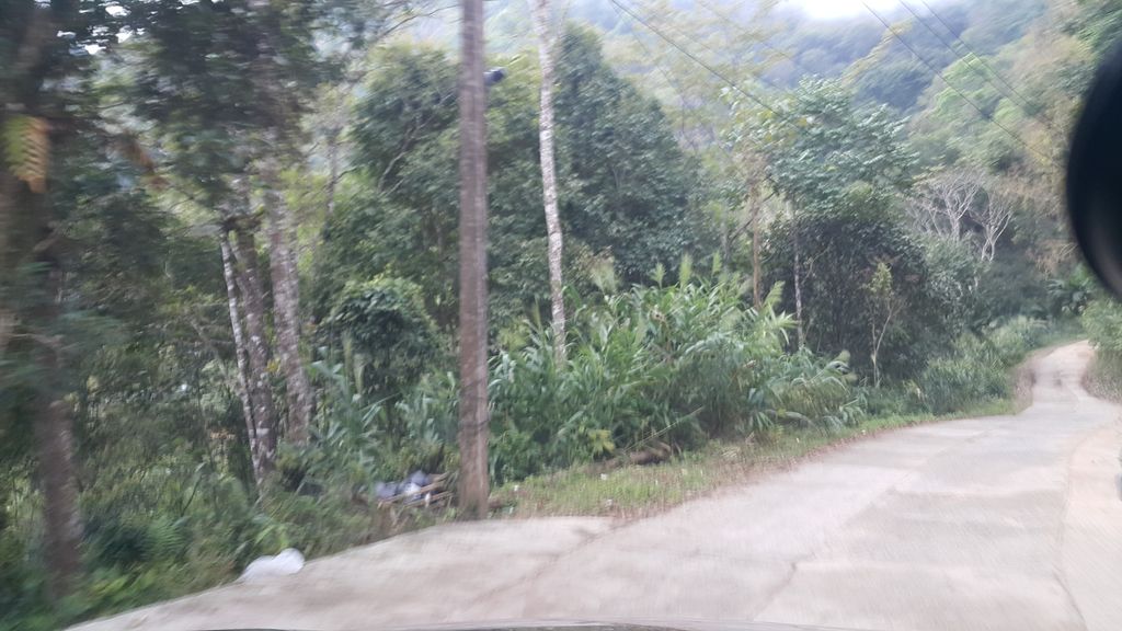 ภาพถนนตรงที่ Inthara Luge ตั้งอยู่ ถ่ายโดย jrcarlsen พ.ศ. 2561 (2018) · A street-level view of where Inthara Luge stands, by jrcarlsen in 2561 (2018)