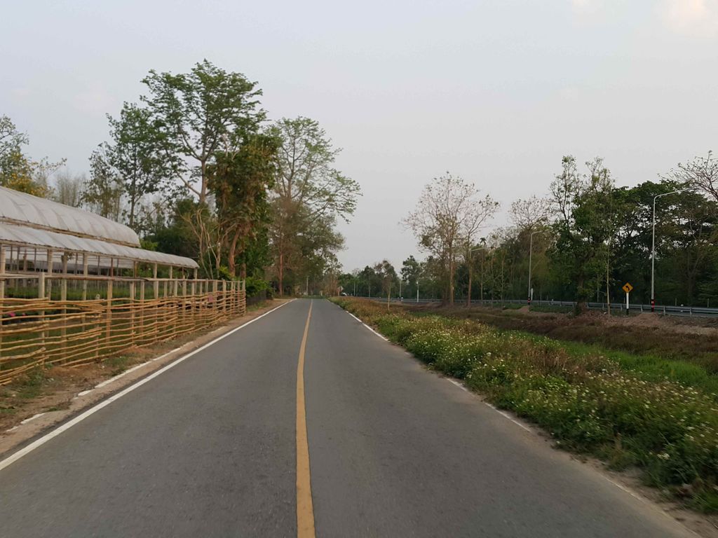 ภาพถนนตรงที่ Adirek ตั้งอยู่ ถ่ายโดย jrcarlsen พ.ศ. 2558 (2015) · A street-level view of where Adirek stands, by jrcarlsen in 2558 (2015)