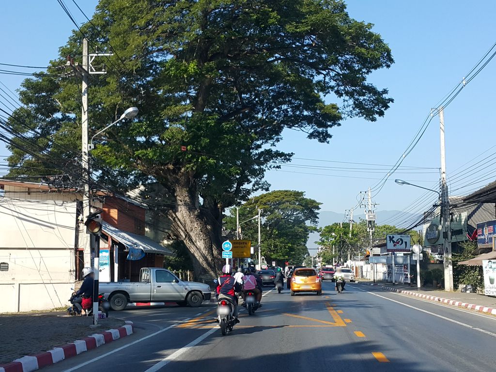 ภาพถนนตรงที่ ปิ้งย่าง หม่าล่า ตั้งอยู่ ถ่ายโดย jrcarlsen พ.ศ. 2559 (2016) · A street-level view of where ปิ้งย่าง หม่าล่า · Pingyang Mala stands, by jrcarlsen in 2559 (2016)