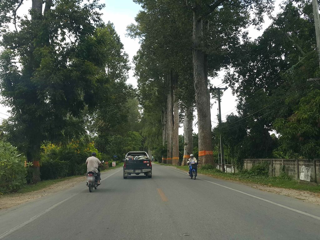 ภาพถนนตรงที่ อี่ป้อ คาเฟ่ ตั้งอยู่ ถ่ายโดย jrcarlsen พ.ศ. 2558 (2015) · A street-level view of where อี่ป้อ คาเฟ่ · Ipa Café stands, by jrcarlsen in 2558 (2015)