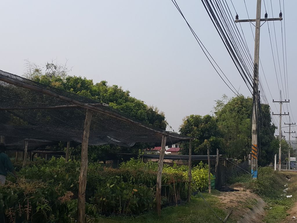 ภาพถนนตรงที่ ครัวอีสานภูเขียว ตั้งอยู่ ถ่ายโดย jrcarlsen พ.ศ. 2559 (2016) · A street-level view of where ครัวอีสานภูเขียว · Khruaisan Phukhiao stands, by jrcarlsen in 2559 (2016)