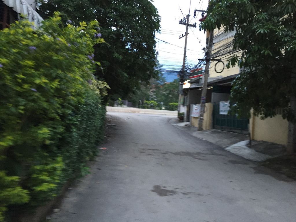 ภาพถนนตรงที่ ดีกู๊ดส์ ซัพพลาย จำหน่ายวัสดุการแพทย์ครบวงจร ตั้งอยู่ ถ่ายโดย alvinsj พ.ศ. 2560 (2017) · A street-level view of where ดีกู๊ดส์ ซัพพลาย จำหน่ายวัสดุการแพทย์ครบวงจร · Dikut Sapphlai Chamnai Watdu Kanphaet Khrabuangchon stands, by alvinsj in 2560 (2017)