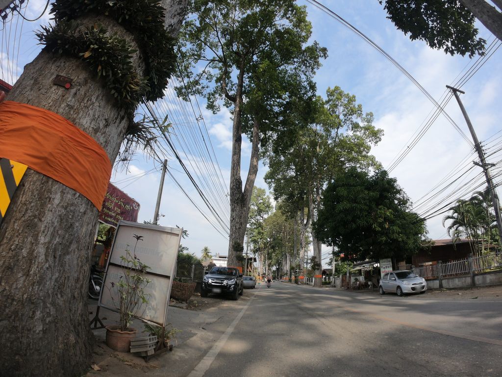 ภาพถนนตรงที่ ร้านรักสารภี ตั้งอยู่ ถ่ายโดย chanuwath_grab พ.ศ. 2562 (2019) · A street-level view of where ร้านรักสารภี · Ran Rak Saraphi stands, by chanuwath_grab in 2562 (2019)