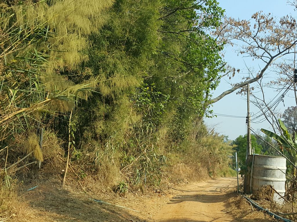ภาพถนนตรงที่ BaanTata-บ้านตาตา ตั้งอยู่ ถ่ายโดย jrcarlsen พ.ศ. 2559 (2016) · A street-level view of where BaanTata-บ้านตาตา stands, by jrcarlsen in 2559 (2016)